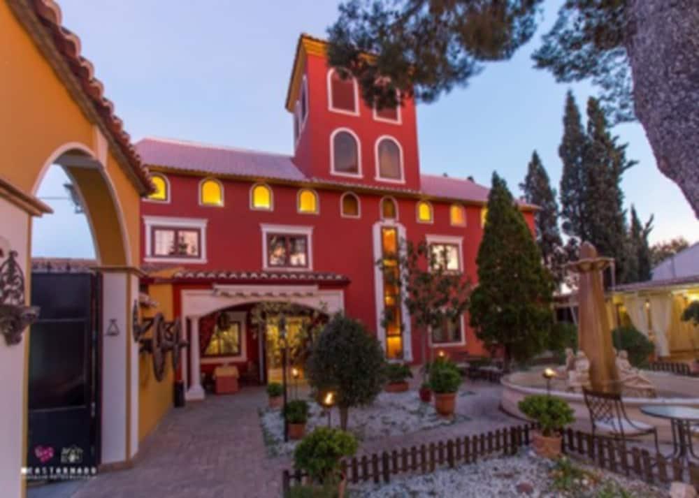 Ibb Masia De Lacy